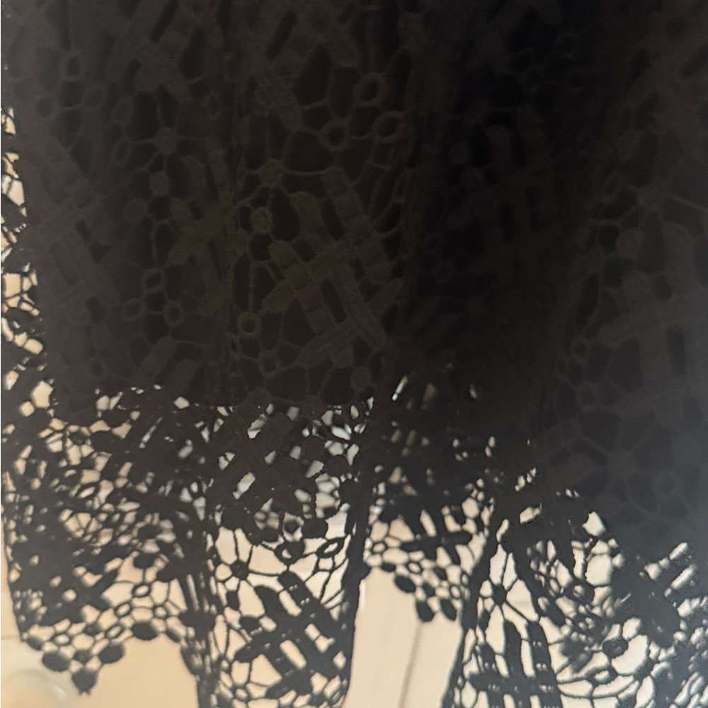 Anne Fontaine Cocktail Dress Black Lace 40 Short Sleeve Sheer Layered NWT - Picture 3 of 15